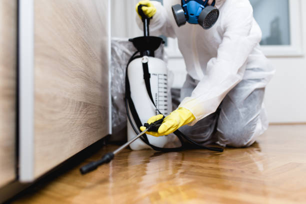 Best Exterminator Services  in Marlboro Meadows, MD