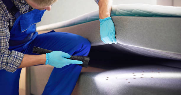 Best Pest Removal Services  in Marlboro Meadows, MD