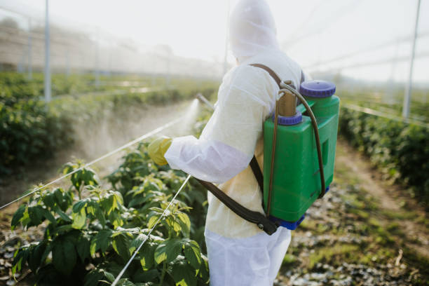 Best Rat Extermination Near Me  in Marlboro Meadows, MD